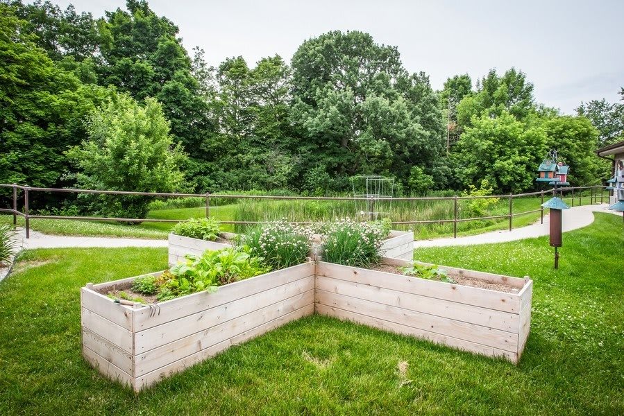 A lush garden featuring wooden raised beds filled with various plants.