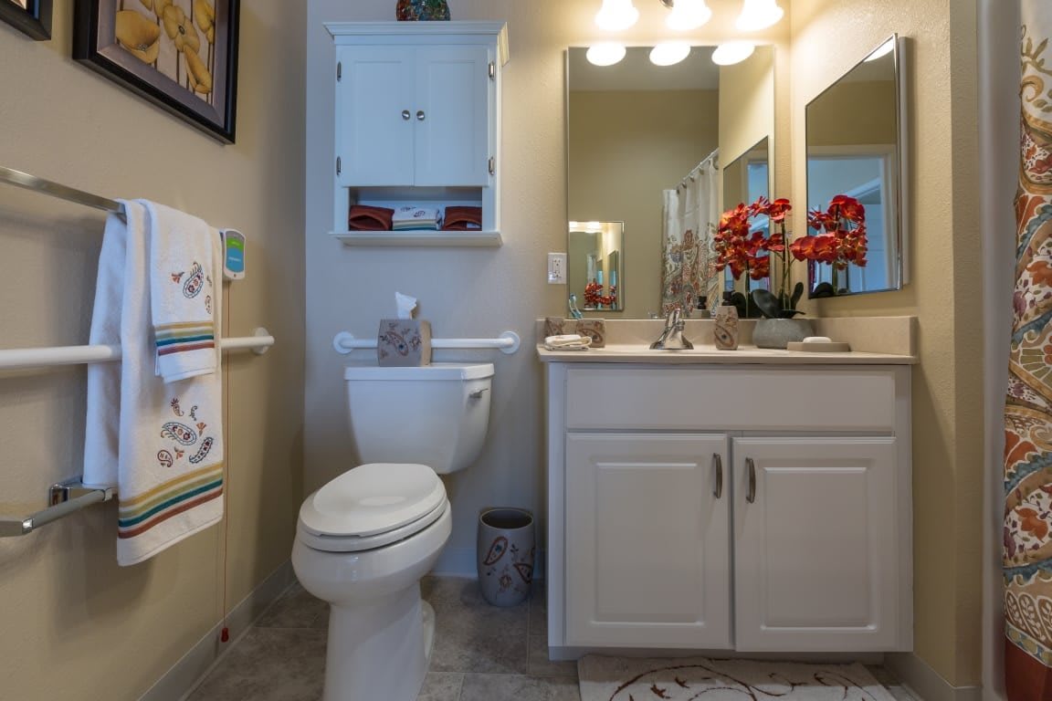 A clean, well-lit bathroom featuring a toilet, sink with mirror, and decorative elements.