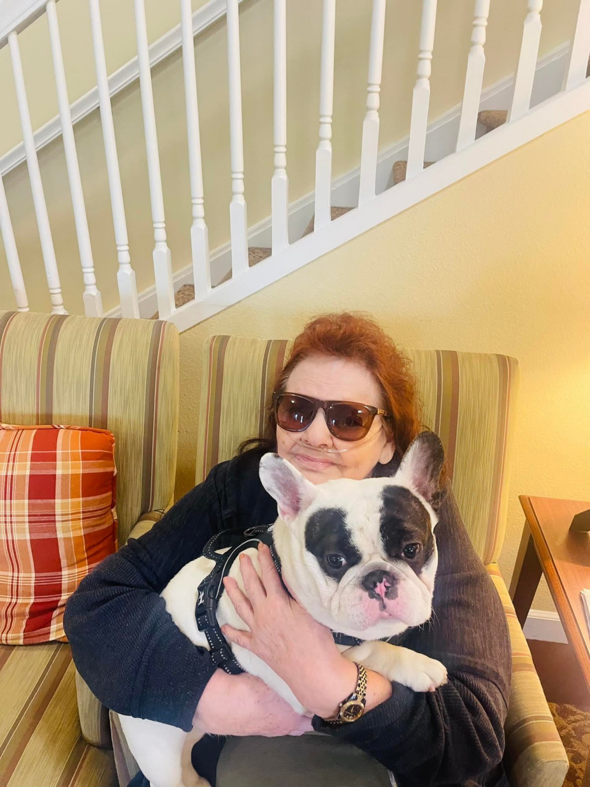 A woman wearing sunglasses sitting on a couch and holding a French Bulldog.