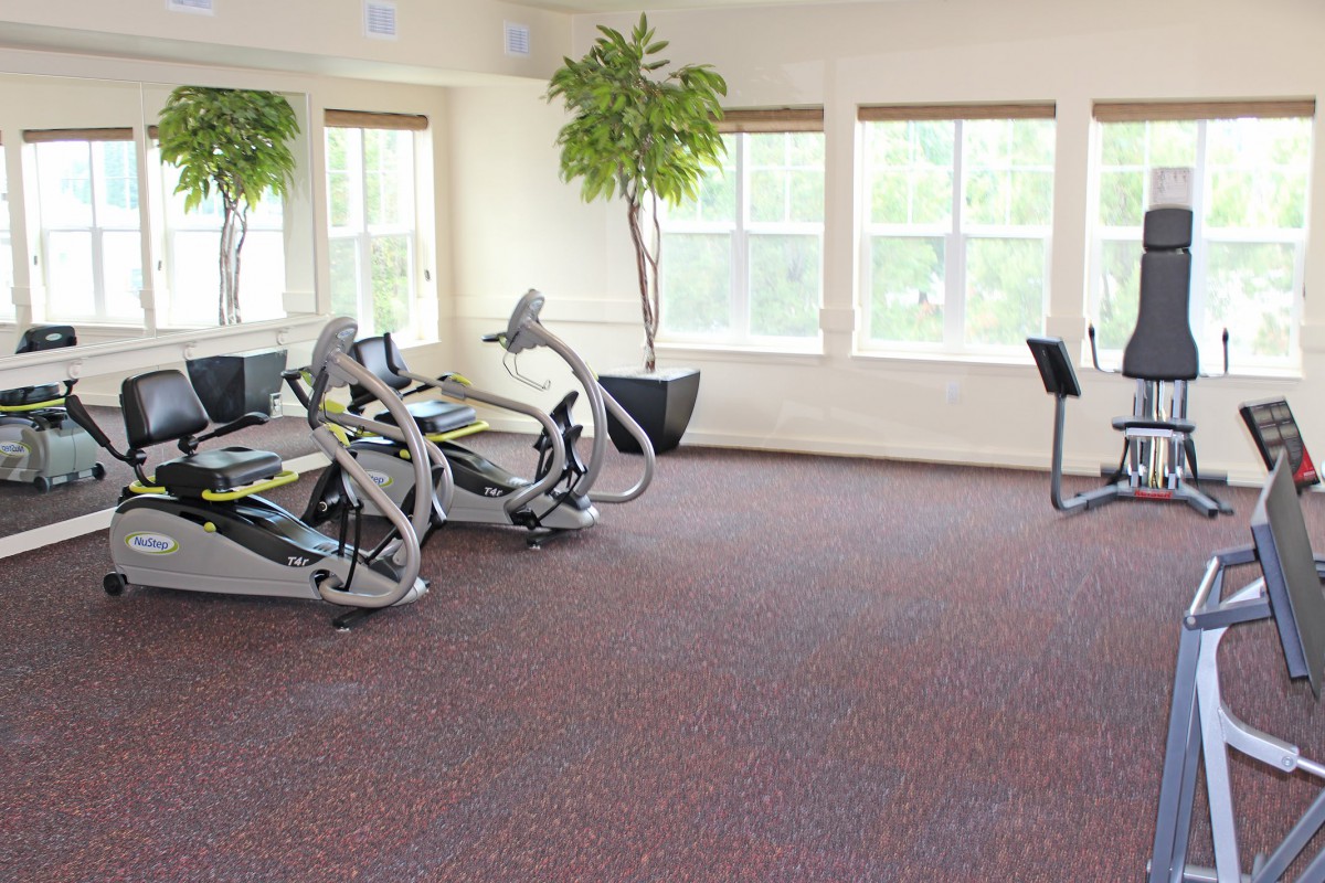 A bright and airy gym space featuring elliptical machines and large windows.