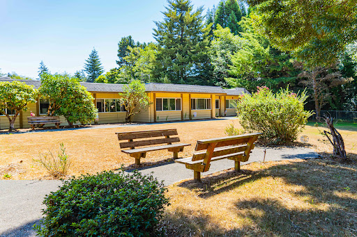 A serene outdoor setting featuring benches, lush greenery, and a building under a clear blue sky.