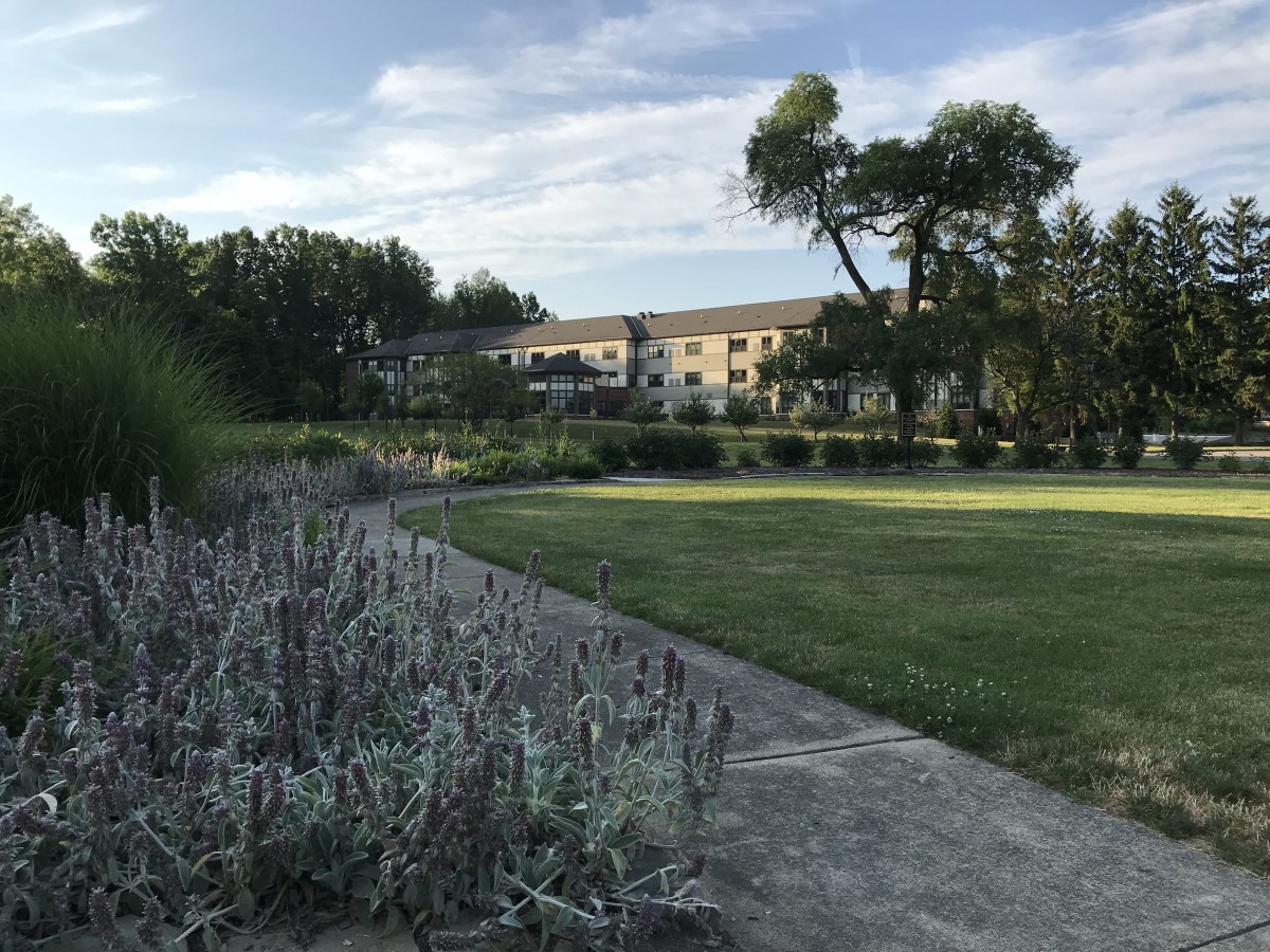 A serene landscape featuring a building in the background, surrounded by trees and open grass areas, with a pathway leading through the scene.