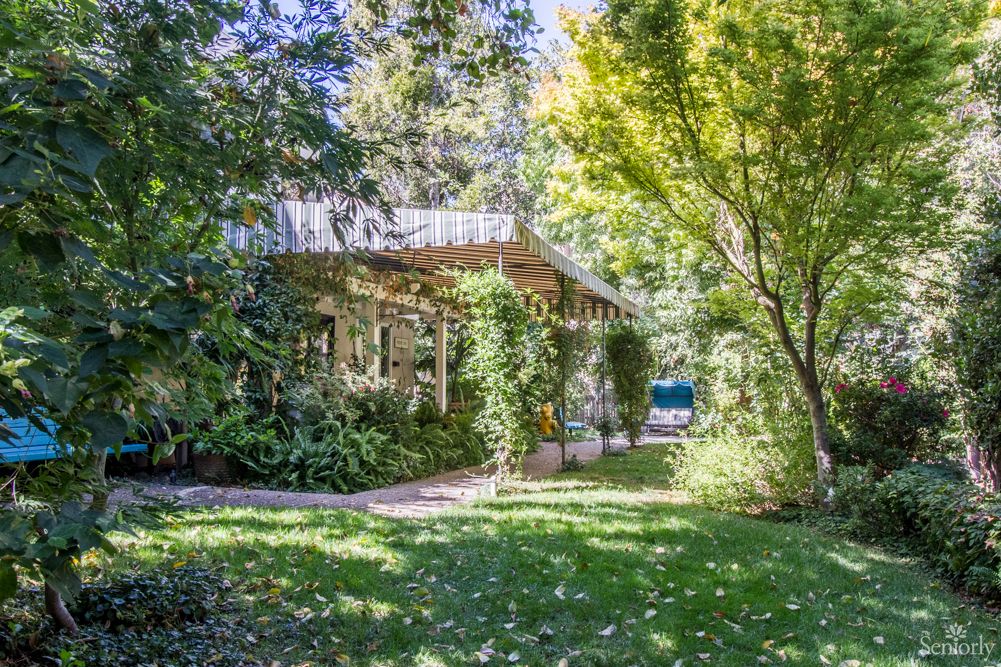 A serene garden with abundant greenery and sunlight filtering through the trees.
