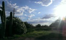 A serene landscape with lush greenery under a partly cloudy sky.