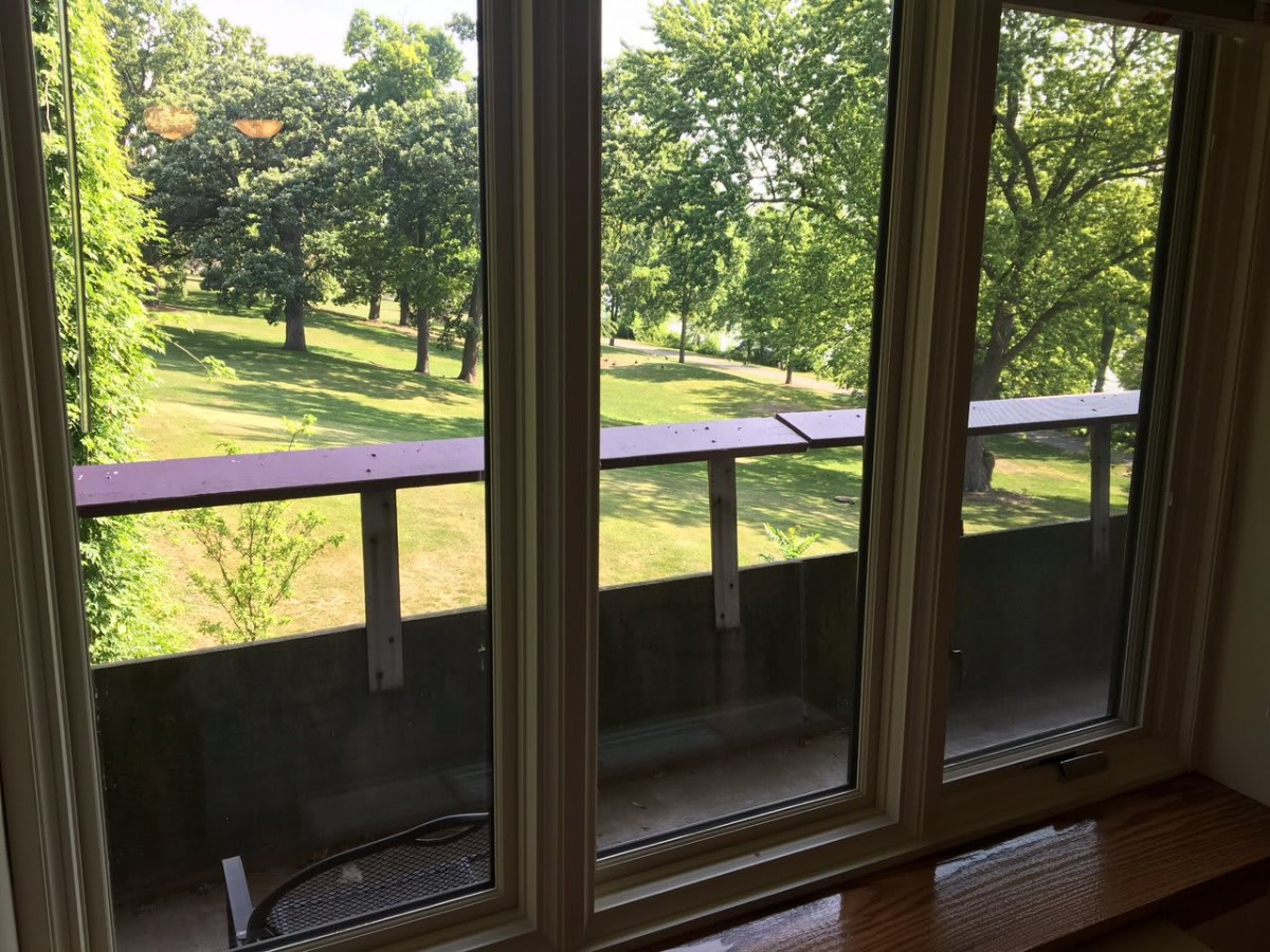 A serene view from a window overlooking a park filled with lush green trees.