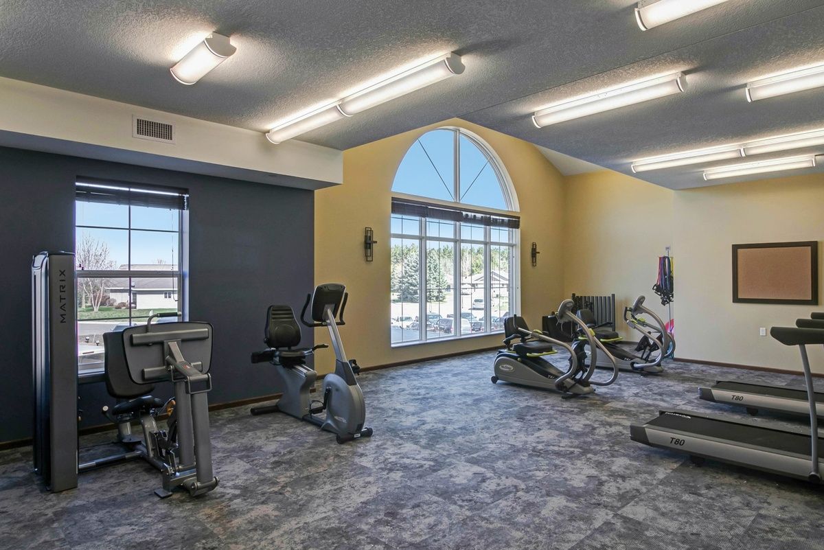 A well-lit gym with various cardio machines and large windows.