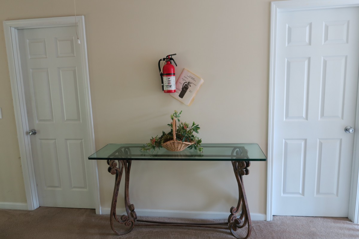 A hallway with a fire extinguisher mounted on the wall above a glass table decorated with a plant.