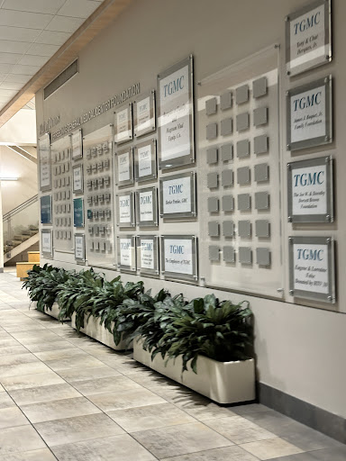 A contemporary wall display featuring framed information and indoor plants.