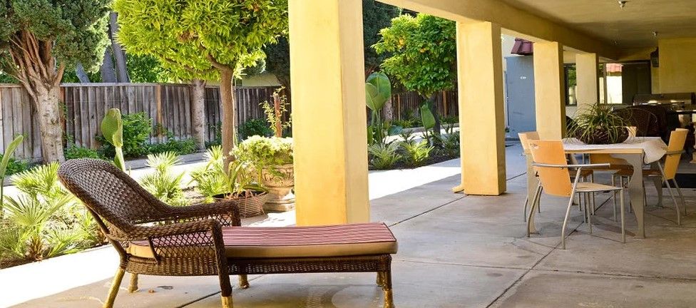 A tranquil patio area with a bench and surrounding greenery.