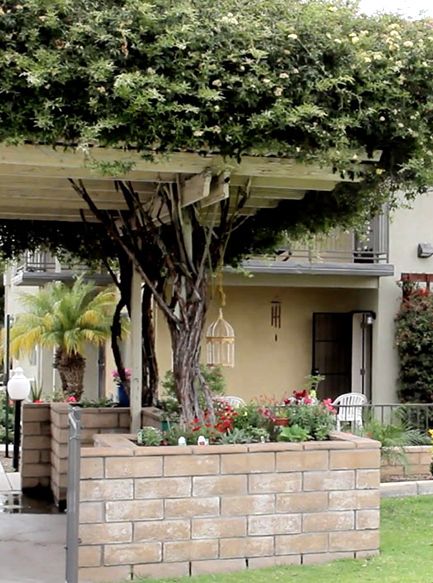 Magnolia Grand Independent Living