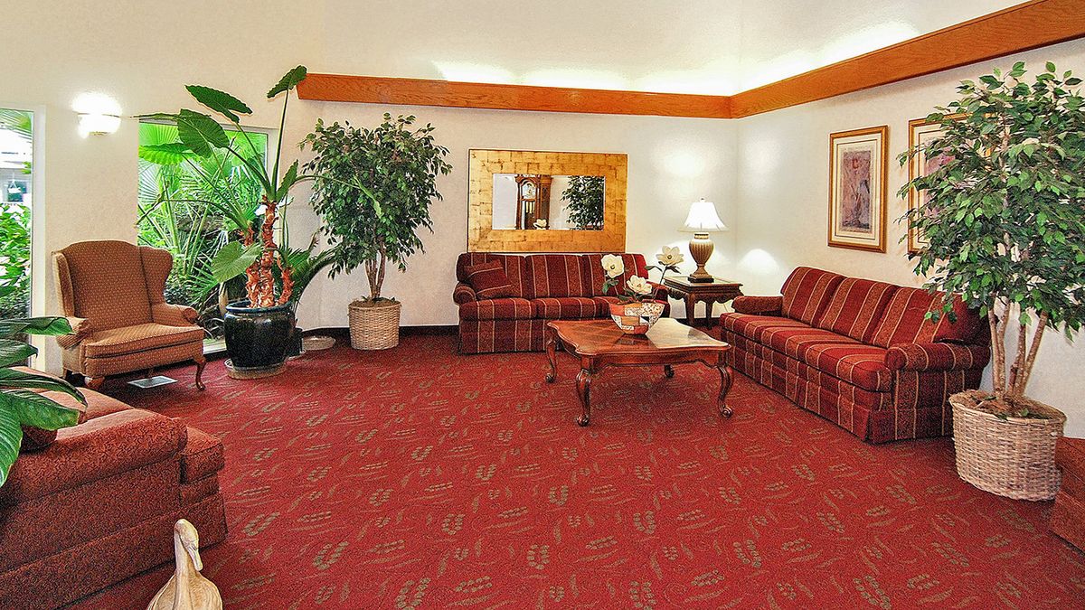 A cozy living room with red carpeting and matching sofas, featuring a wooden coffee table and decorative plants.