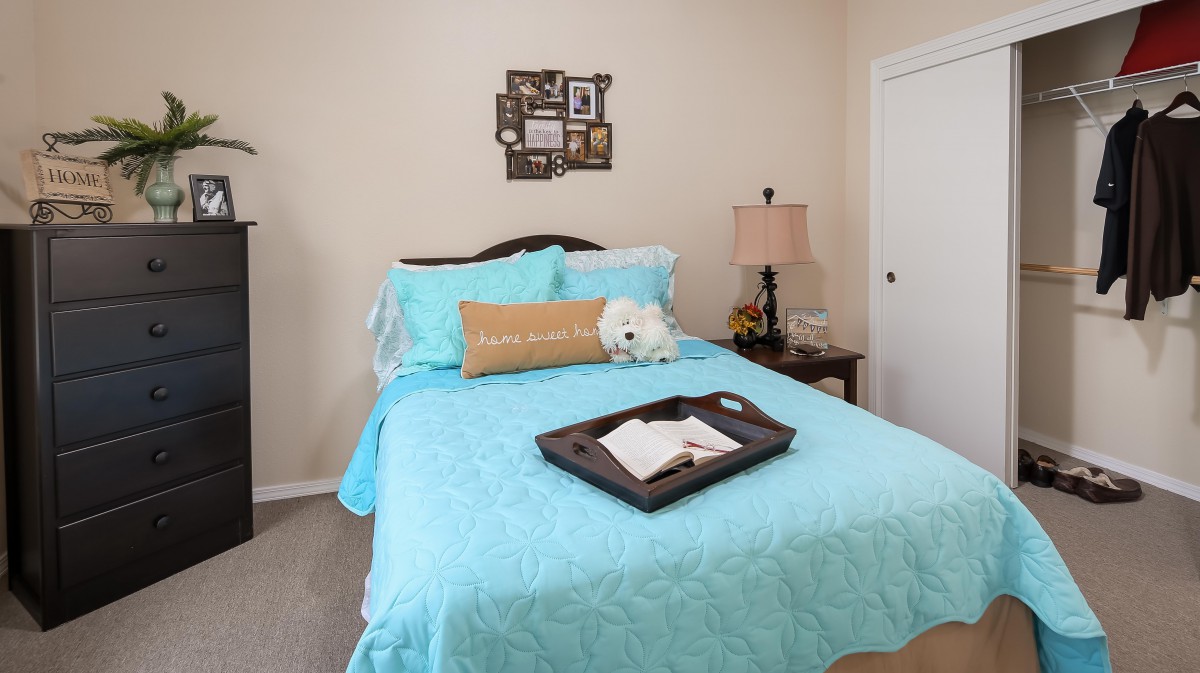 A cozy bedroom featuring a bed with blue bedding, a decorative throw pillow, and a tray holding an open book. A nightstand with a lamp adds to the room's warm ambiance.