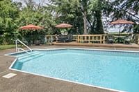 Outdoor swimming pool with deck chairs and umbrellas surrounded by trees.