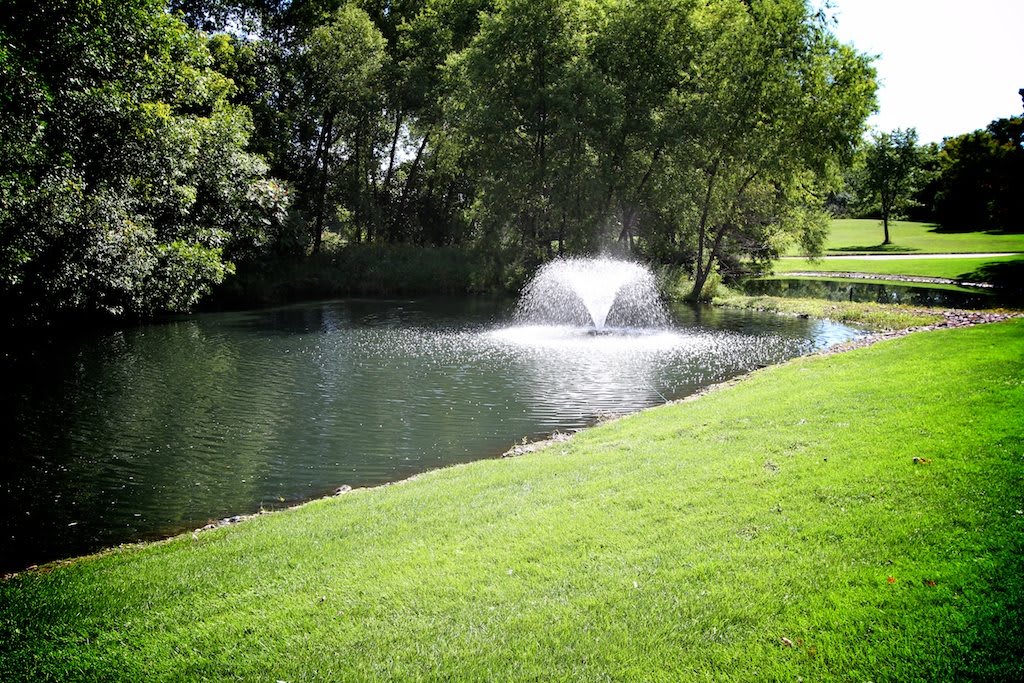 A serene landscape featuring a pond with a fountain surrounded by lush greenery and trees.