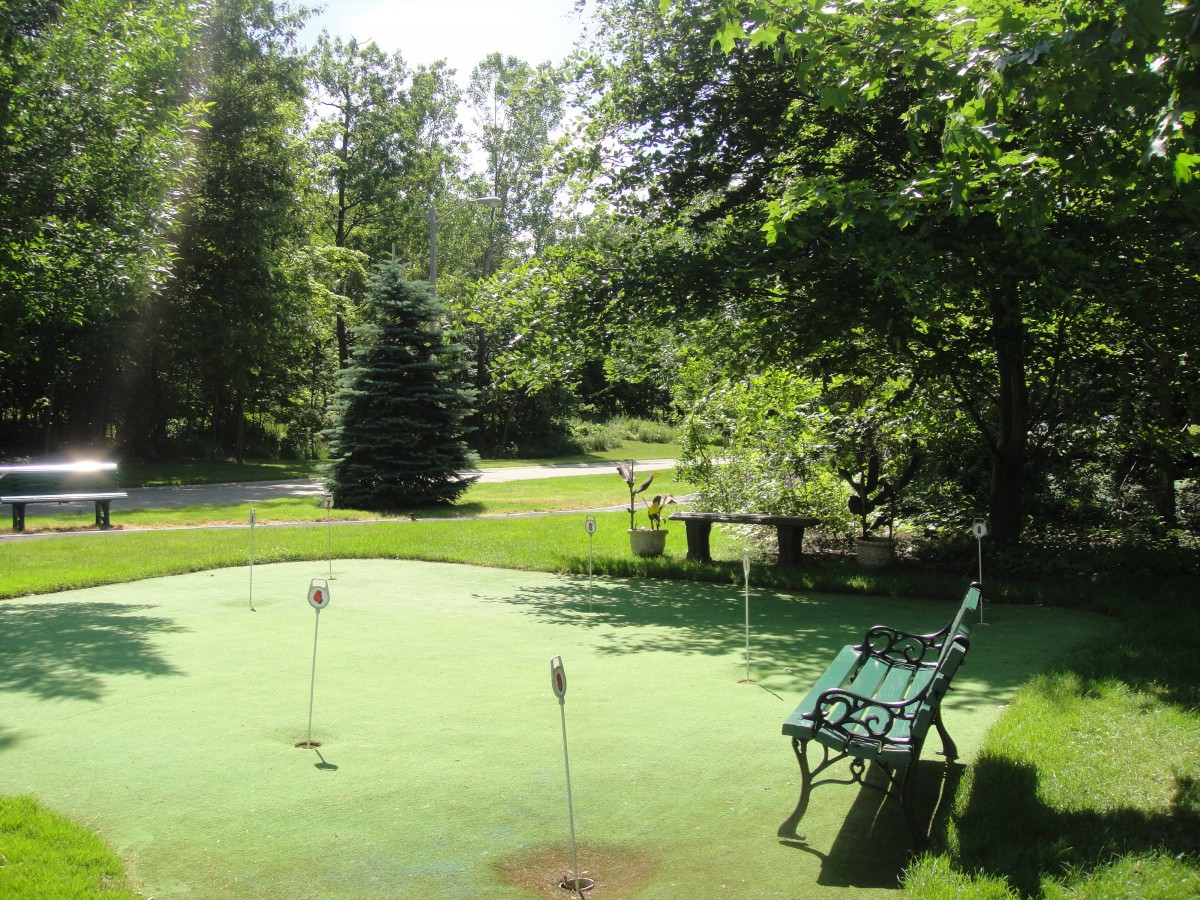 A scenic view of a putting green surrounded by lush trees and a bench, bathed in sunlight.