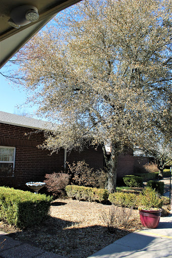 Brentwood Extended Care & Rehab