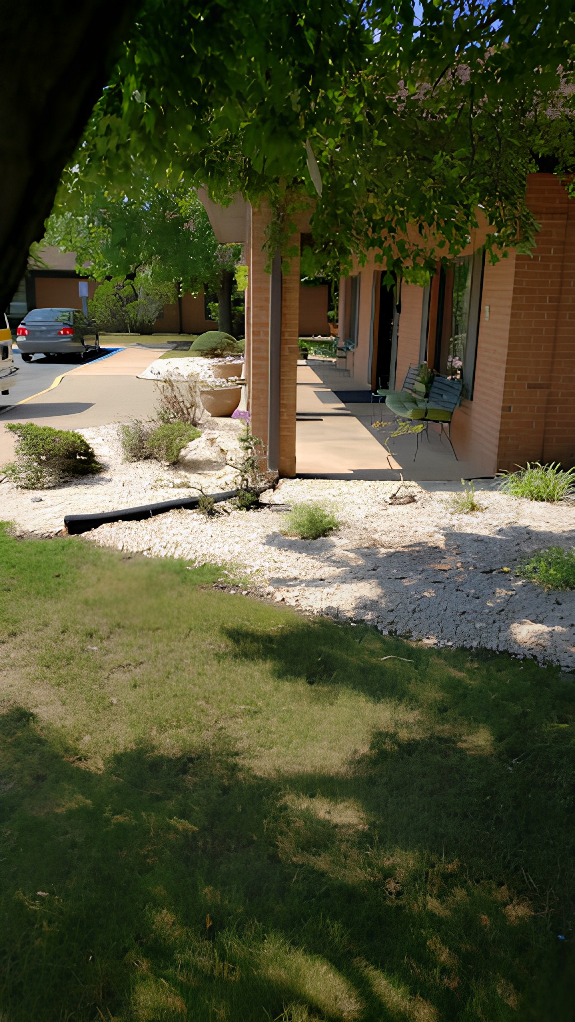 A xeriscaped garden with desert plants and rocks next to a building.