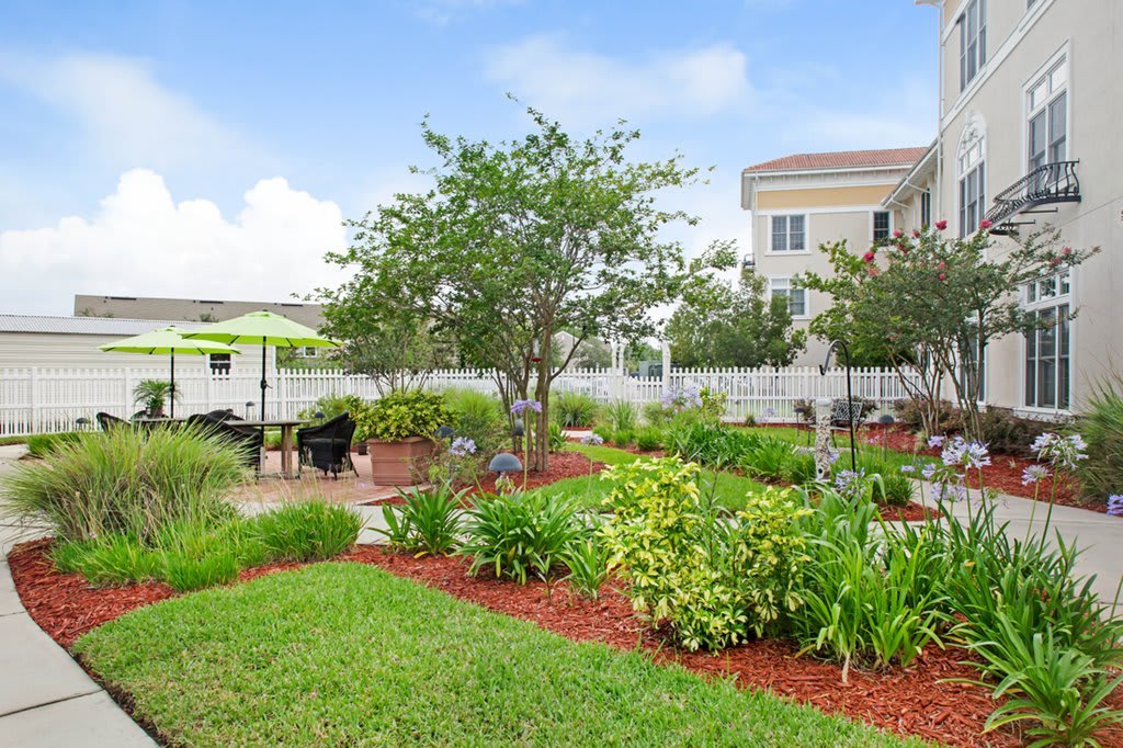 A well-maintained garden with a variety of plants and trees in a residential area.