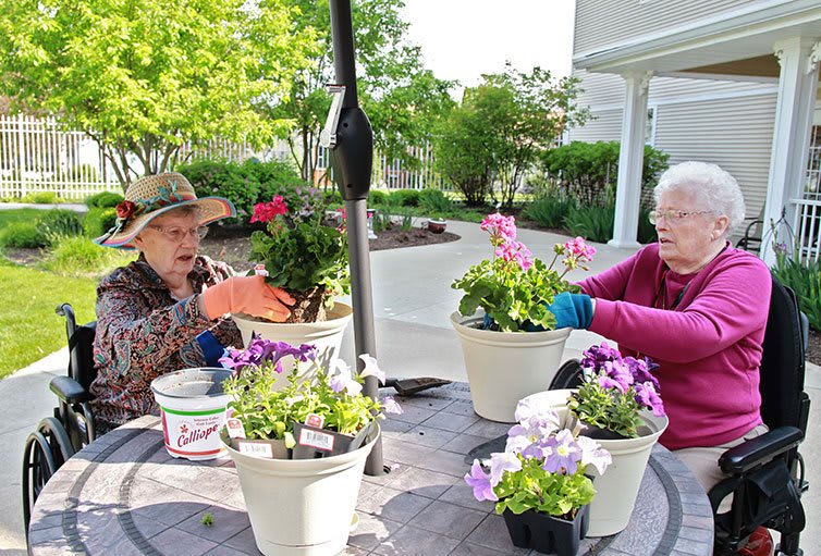 Two elderly people gardening together with potted plants outdoors.