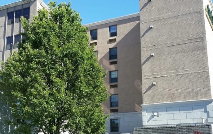 A view of a building with several windows behind a leafy tree under a clear blue sky.