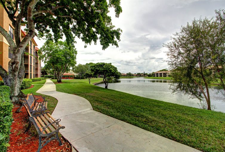 A scenic park with a winding pathway alongside a tranquil lake, surrounded by lush greenery and benches.