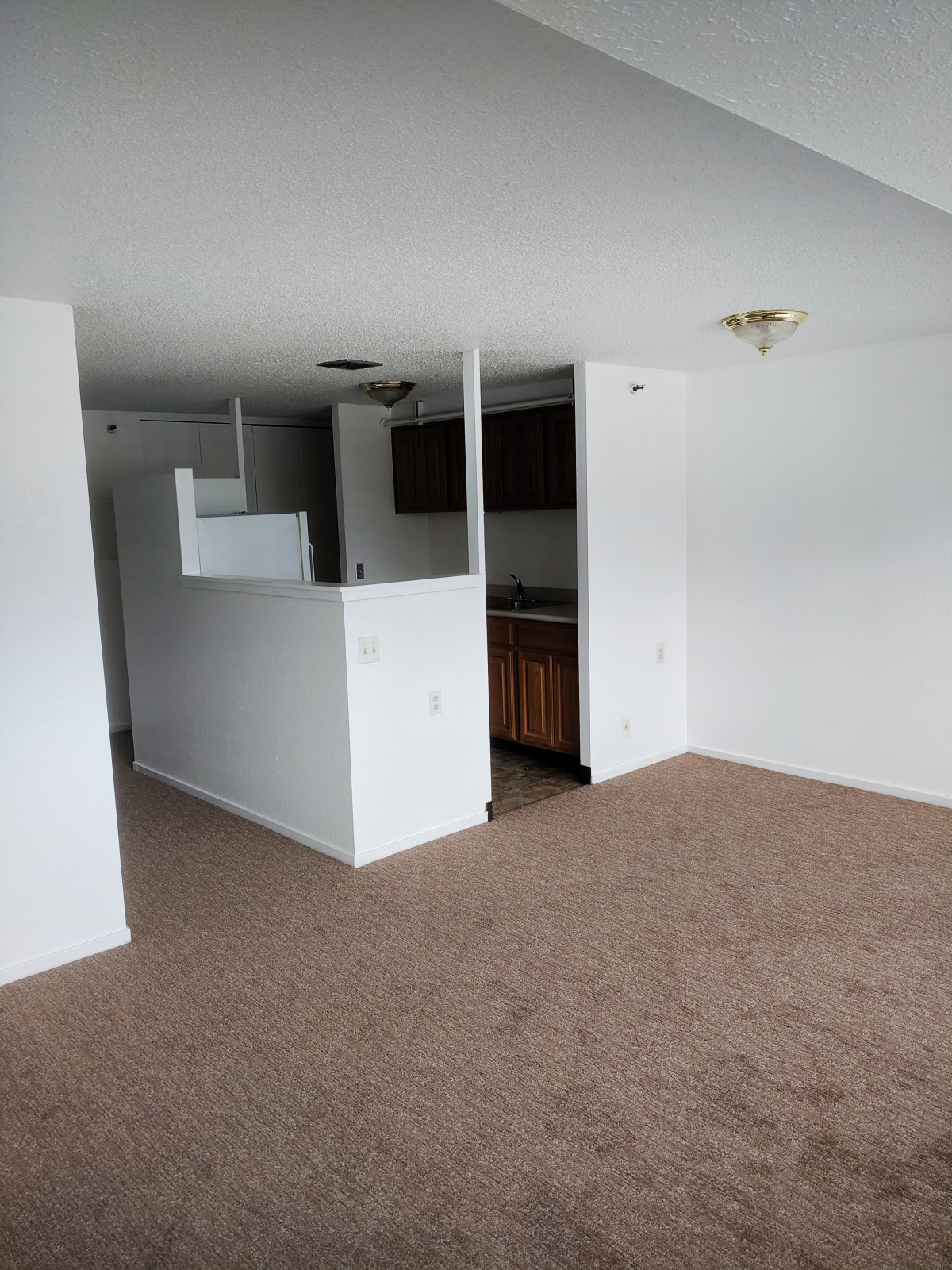 An empty apartment with an open living area and a small kitchen.