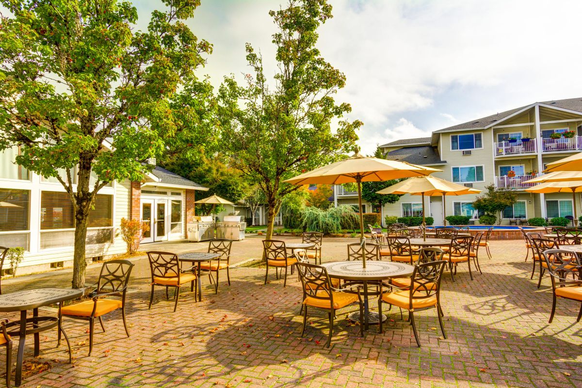 A sunny outdoor patio featuring tables, chairs, and umbrellas surrounded by greenery and buildings.