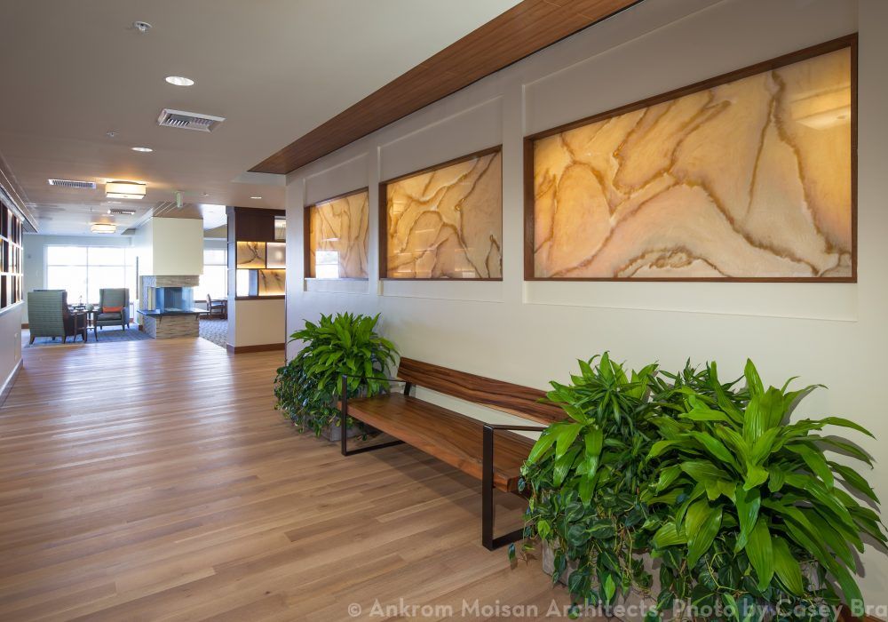 A well-lit lobby area featuring wooden benches, green plants, and decorative wall art.