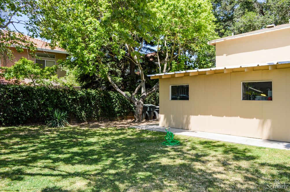 A sunny backyard with a tree and a small building.