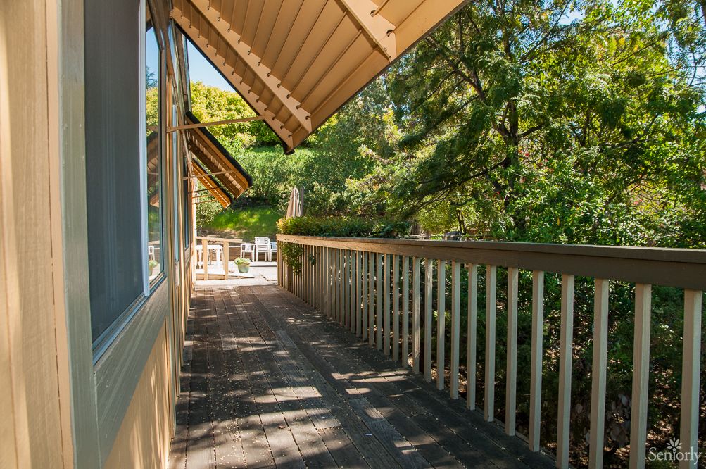 A sunlit balcony with a wooden railing overlooking lush green trees.