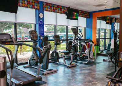 A gym with various exercise machines, including treadmills, stationary bikes, and elliptical trainers.