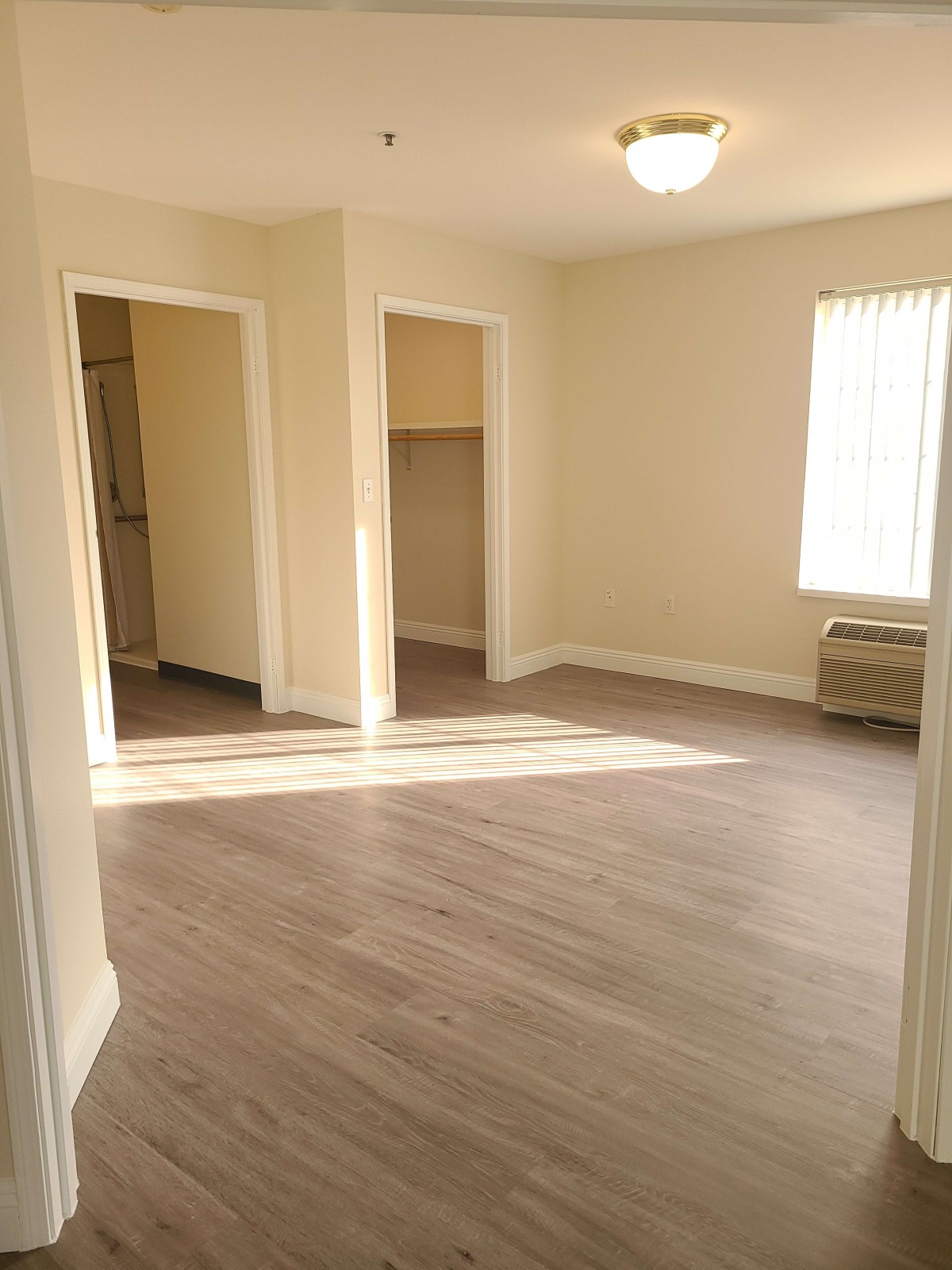 An empty room with hardwood flooring and natural light streaming through a window.
