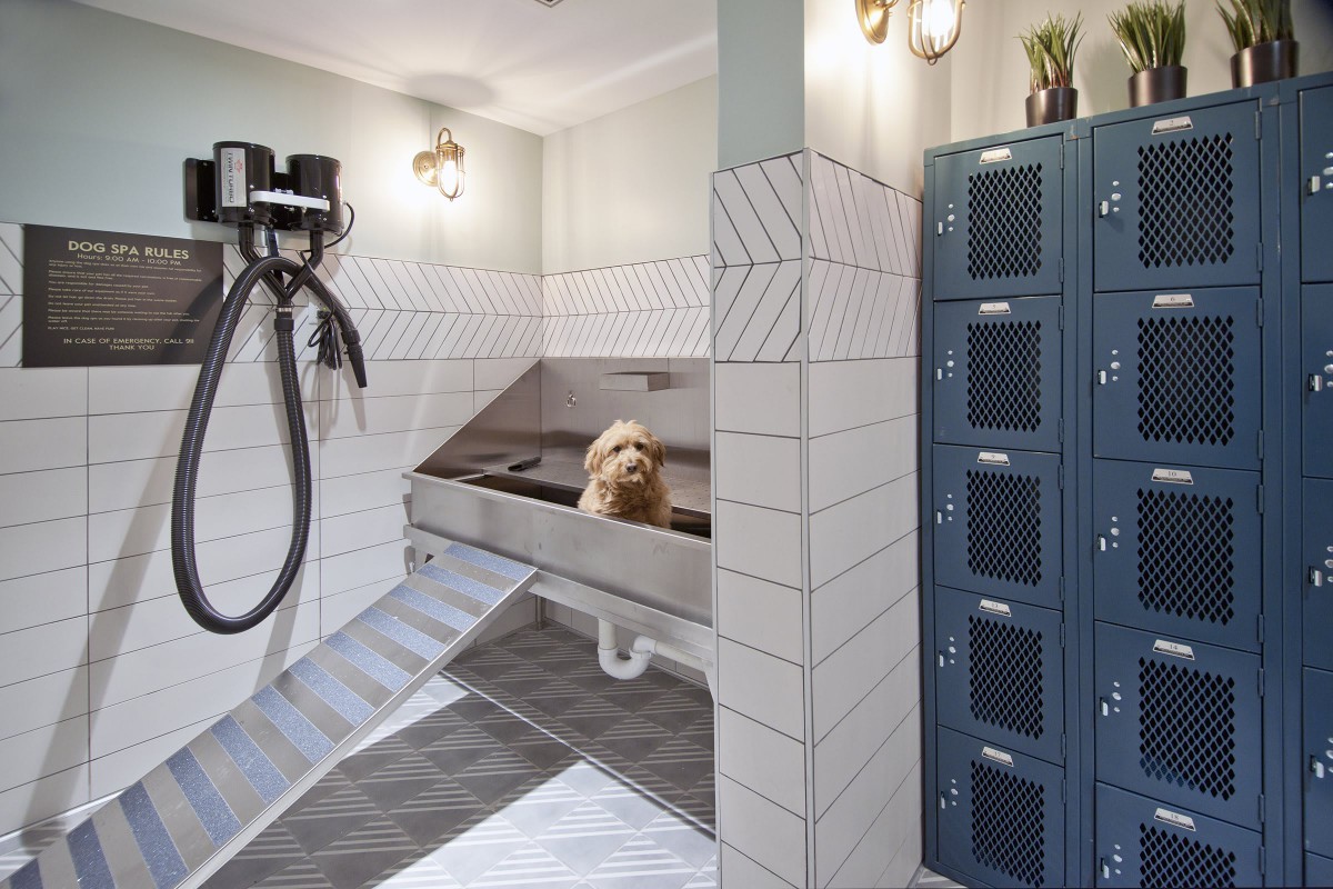A grooming station featuring a dog in a bath tub with nearby lockers and grooming tools.