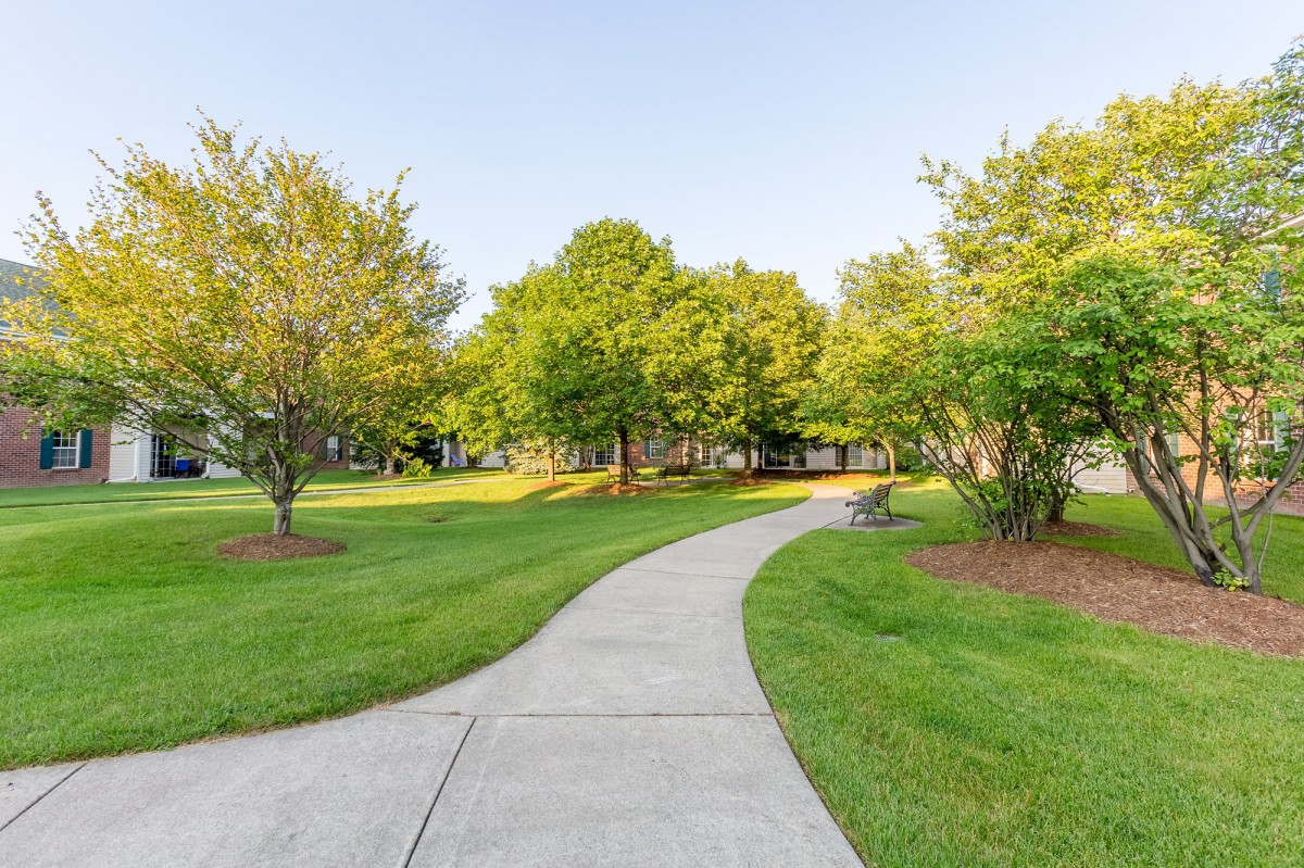 A serene pathway winding through a lush park on a sunny day.
