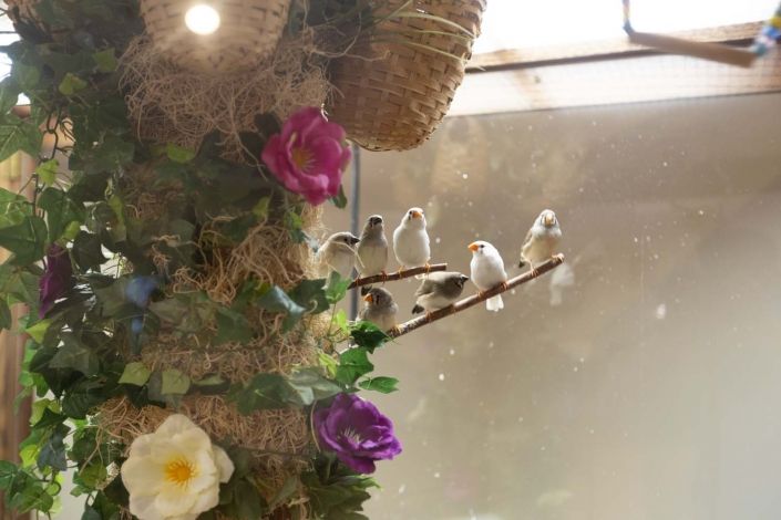 A group of birds perched on a branch surrounded by colorful flowers.