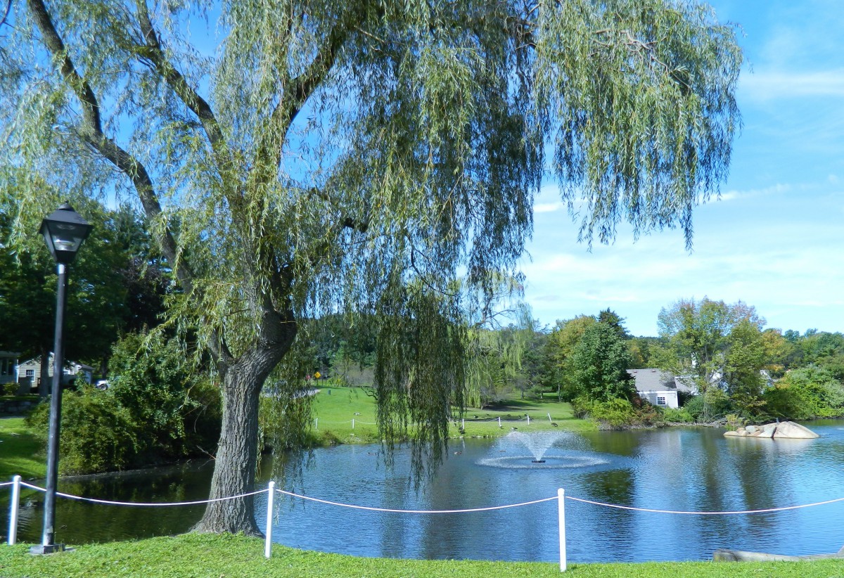 Colonial Manor at Panther Valley