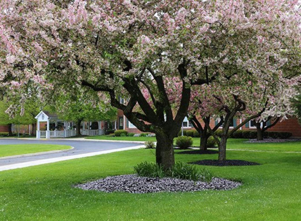 Blocher Homes