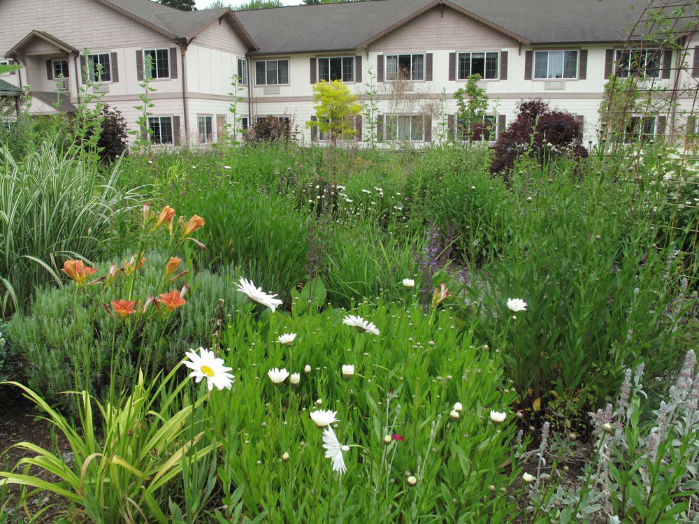 A lush garden with various flowers in front of residential buildings.