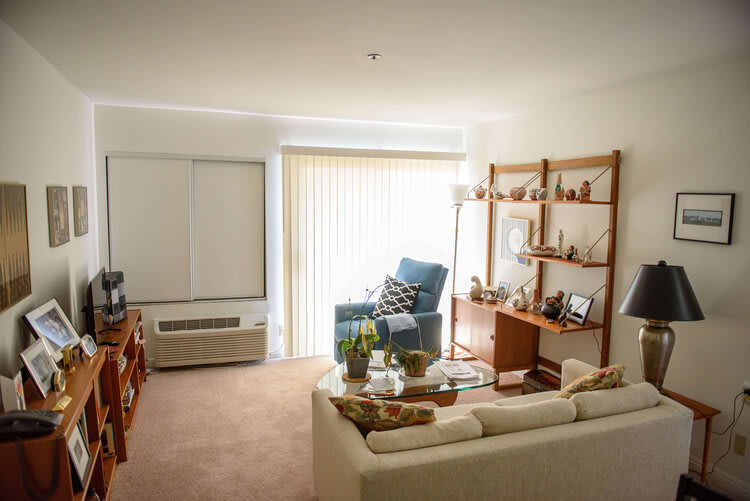A cozy living room with a sofa, armchair, and wooden shelves.