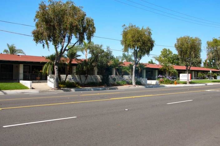 A suburban street lined with palm trees and houses.