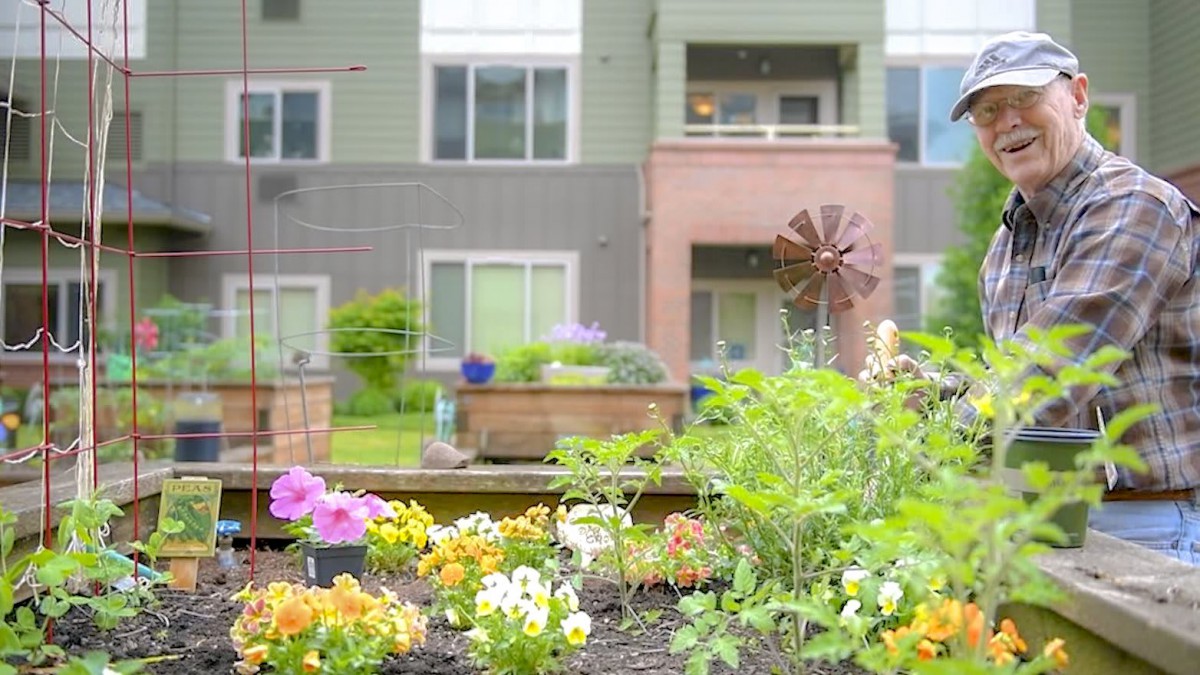 A vibrant garden full of flowers in front of an apartment building.