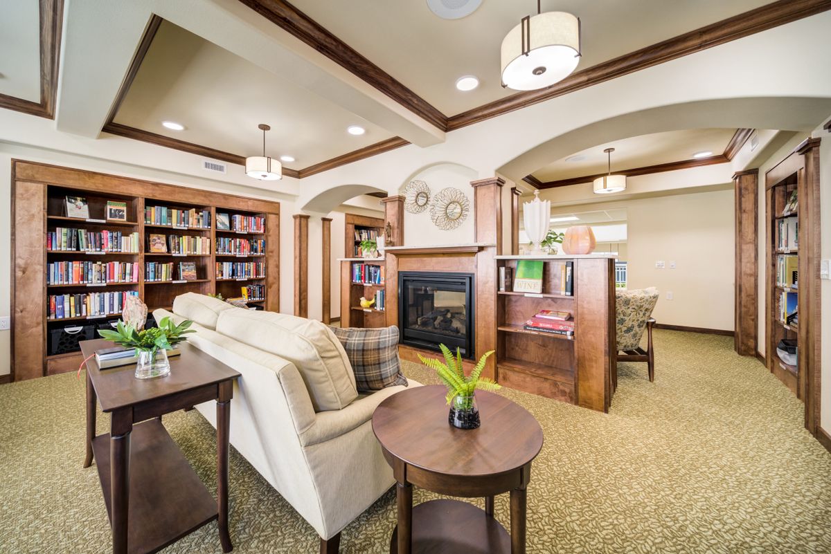 Cozy living room with a fireplace and bookshelves.