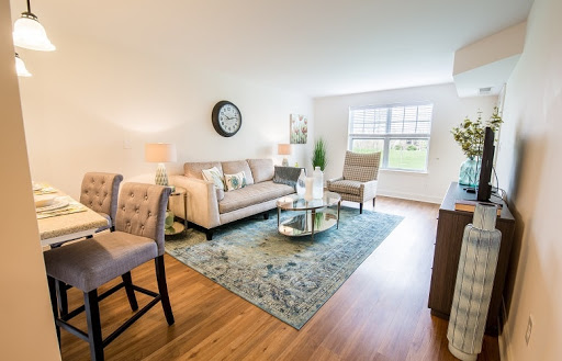 A bright and inviting living room featuring modern furniture and a cozy atmosphere.