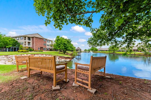 A peaceful lake view with two wooden benches under a tree.