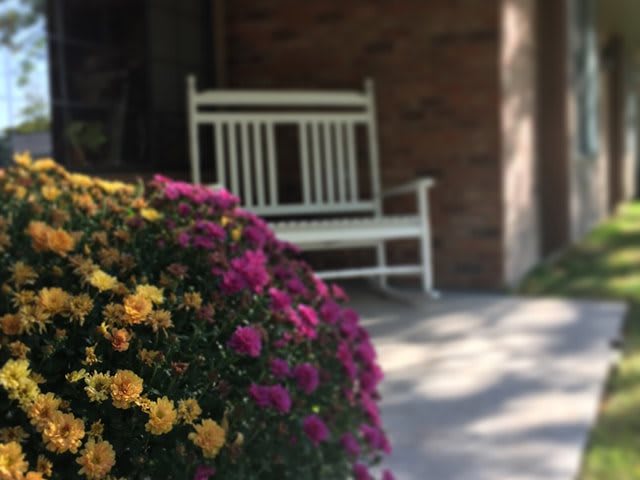 A peaceful garden scene featuring a white bench and blooming colorful flowers.