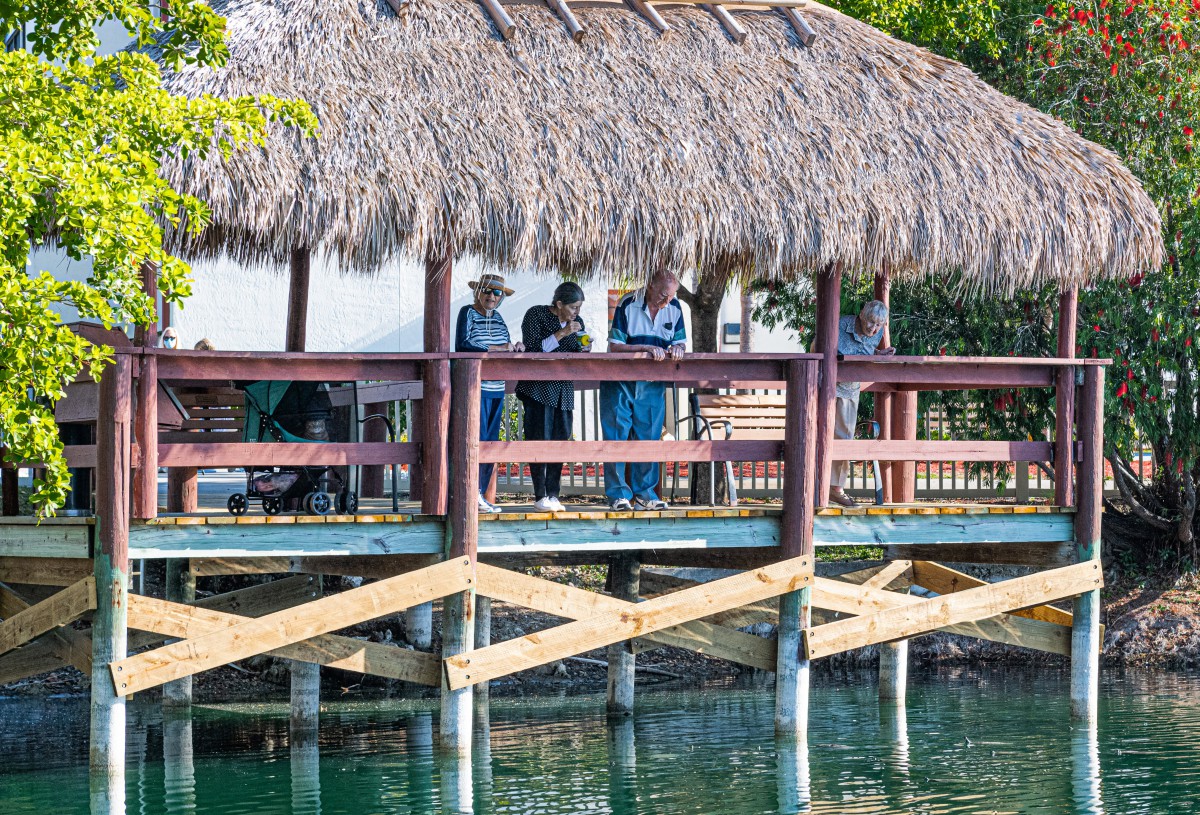 People standing under a thatched roof on a dock by the water.