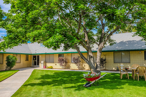 A charming house surrounded by a well-maintained garden and lush green lawn, featuring a tree and a wheelbarrow.