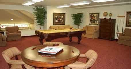 A cozy game room featuring a pool table, seating area, and indoor plants.