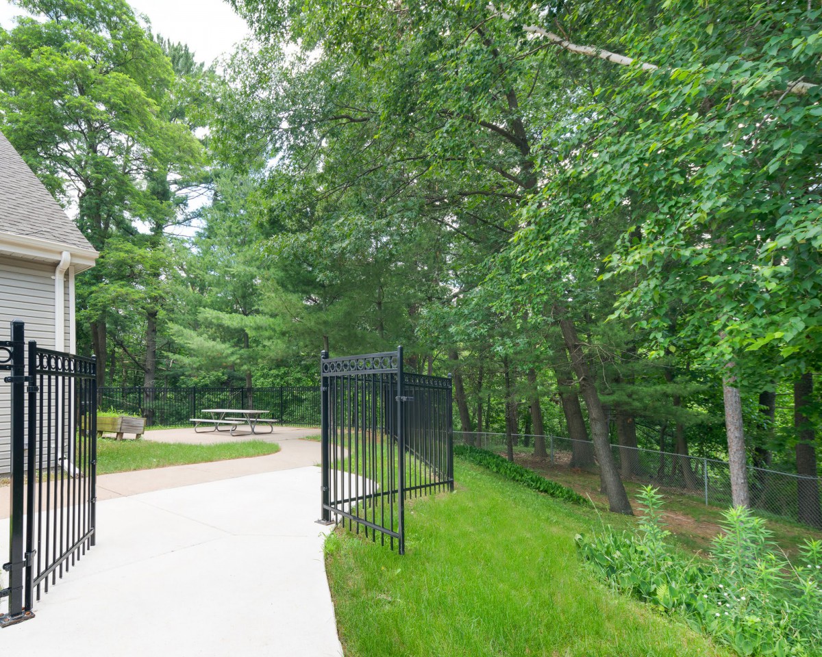 A serene park pathway lined with lush trees and a metal fence.