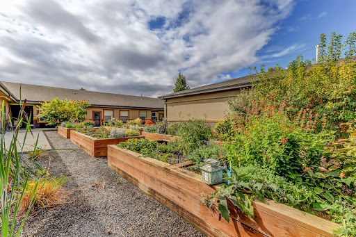 A picturesque view of a vegetable garden featuring raised beds filled with various plants, surrounded by a natural landscape under a cloudy sky.
